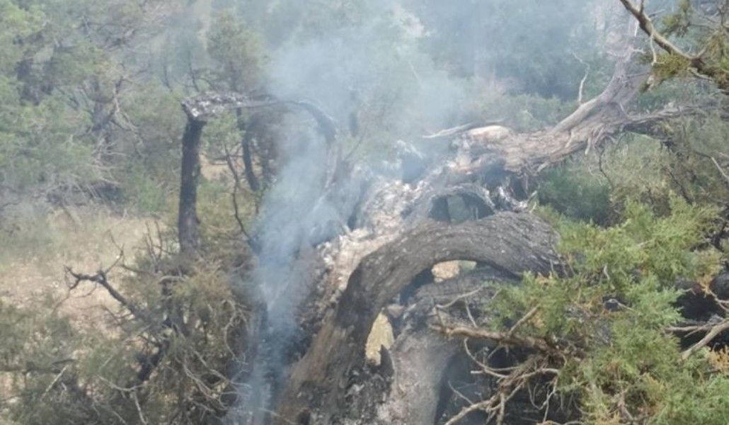 104711984_3183829438376414_4680242023194366162_o