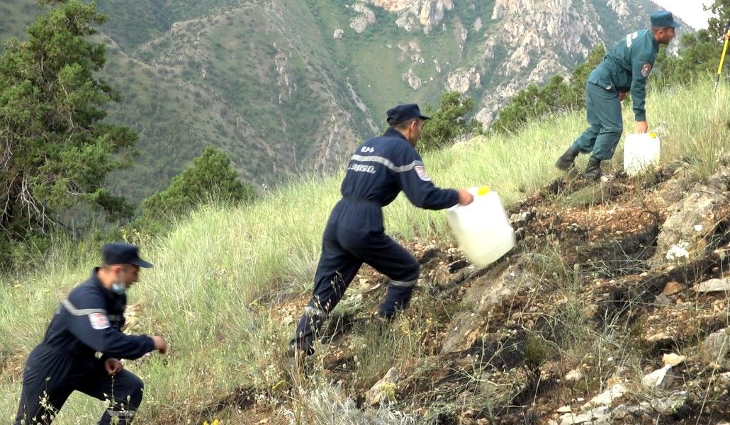 Խոսրովի անտառ պետական արգելոցում բռնկված հրդեհը մեկուսացվել է (6)