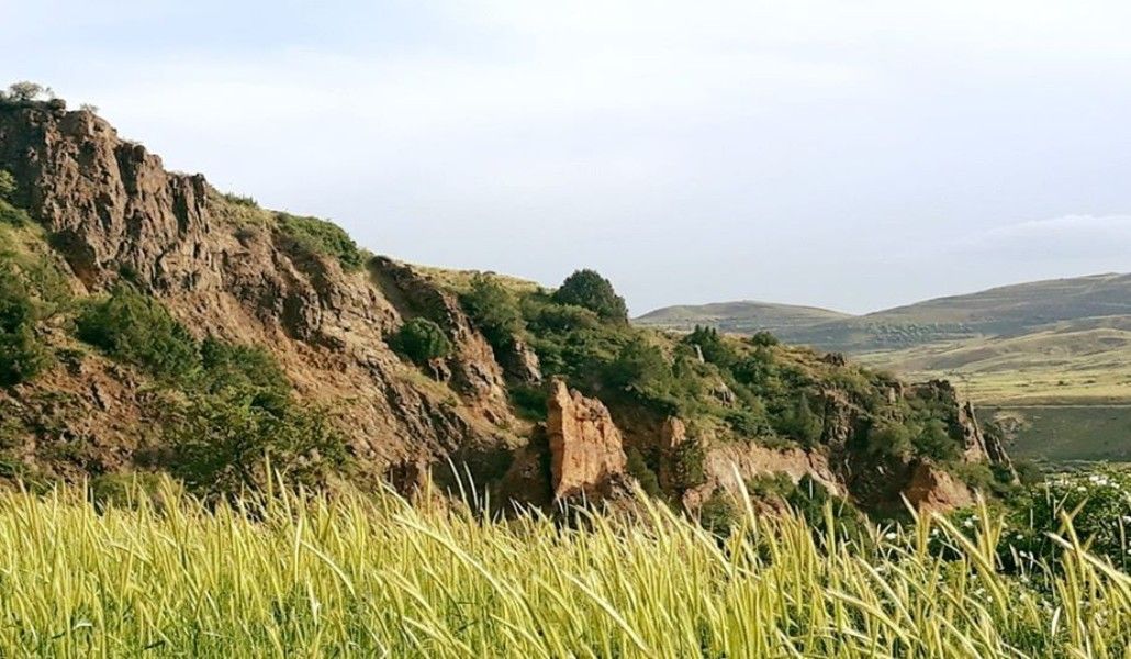 105048527_2499840186931329_4996003125139834902_o