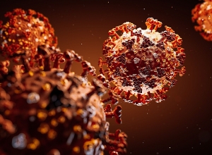 Number of people infected with coronavirus in Armenia exceeds 24,000