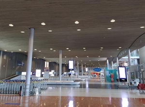 Արման  Թաթոյանը՝   Փարիզի դատարկ օդանավակայանում