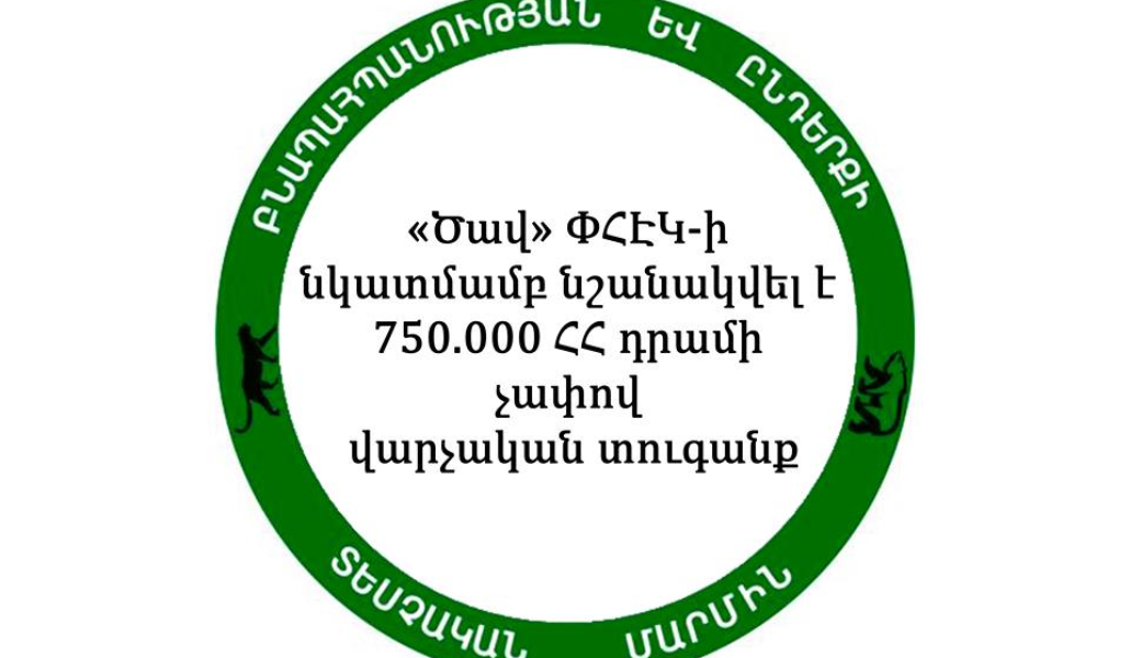 116154095_2665241847060408_7000879646768914147_n