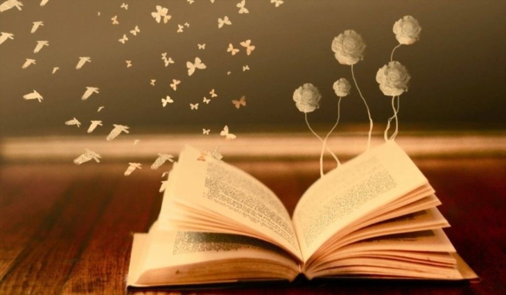 116428530_2951009818459626_8835125382007108178_n