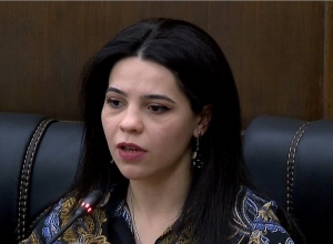 «Իմ քայլը» խմբակցության պատգամավոր Տաթևիկ Հայրապետյանի ասուլիսը. ՈՒՂԻՂ