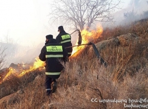 Пожарные-спасатели потушили пожары на площади 8,8 га
