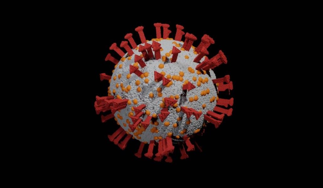 49692135531_cd7d4dfd3f_k (1)