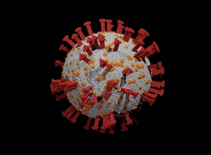 В Арцахе подтверждено 4 новых случая коронавирусного заболевания