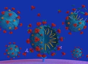 В Арцахе подтверждено 4 новых случая коронавируса