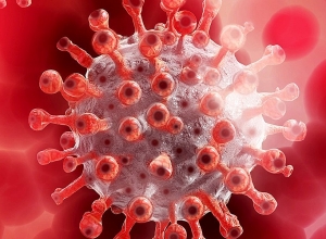 2 новых случая смерти от коронавируса