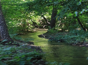 Yerevan Botanical Garden being renovated