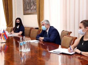 ԱԻ նախարար Ֆ․ Ցոլակյանն ընդունեց Հայաստանում Վրաստանի արտակարգ և լիազոր դեսպան Գիորգի Սագանելիձեին