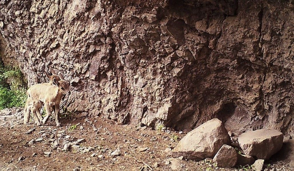 118413621_916195328891284_5655796388194465328_o