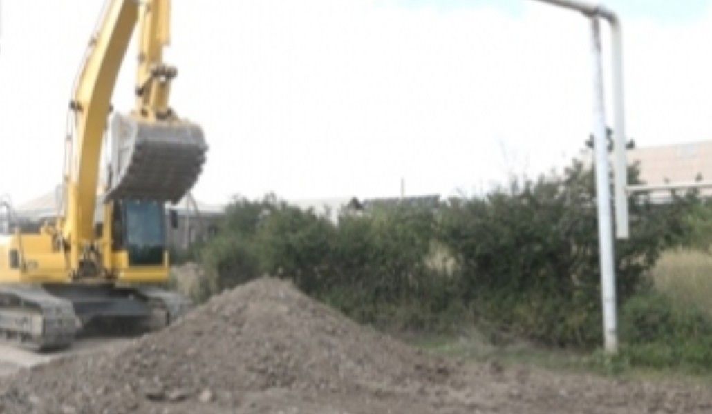 1598706700_champa-hex