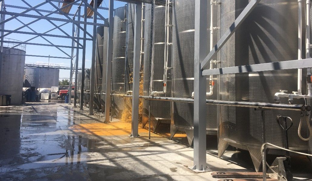 image-01-09-20-02-58-1