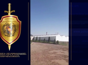 Злоупотребления в ГНКО «Озеленение и охрана окружающей среды»: разоблачение полиции