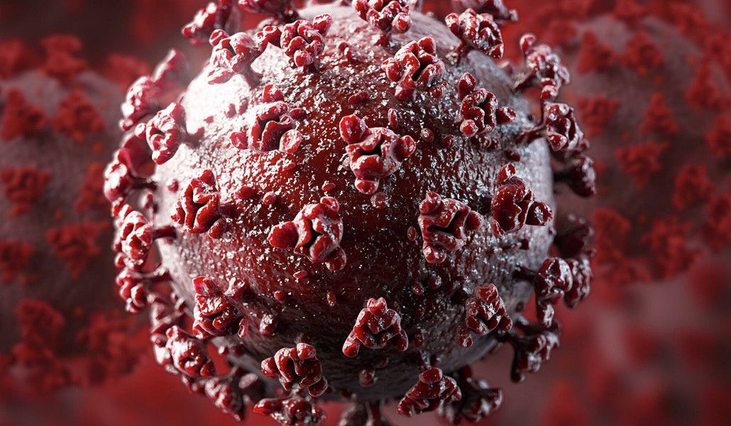 1569869806_0_506_2048_1658_1920x0_80_0_0_f6d61d12bfa559e86b28ce1336e79c7b