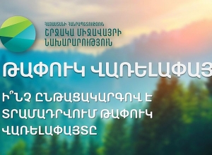 Как жителям предоставляются отходы древесины