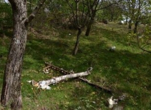 Հակառակորդի խոցված ԱԹՍ-ն Սպիտակաշեն գյուղում․ լուսանկարներ