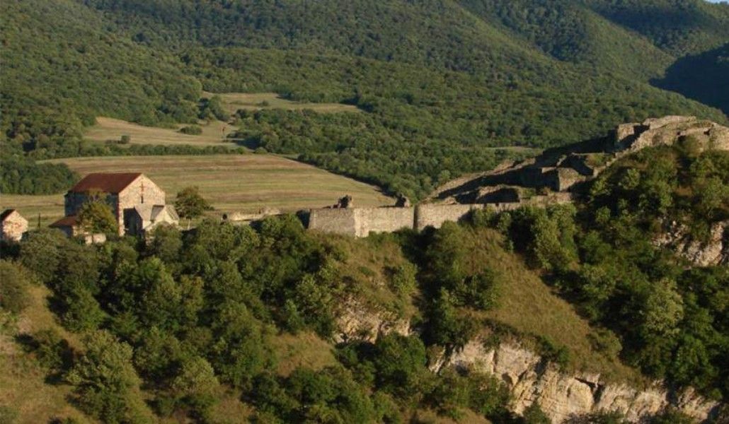 Дманисского-района