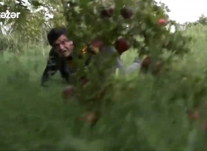 Ադրբեջանական քարոզչամեքենայի ողորմելի կեղծիքը. ՊՆ