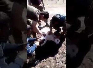 Наши солдаты оказали первую помощь раненой собаке