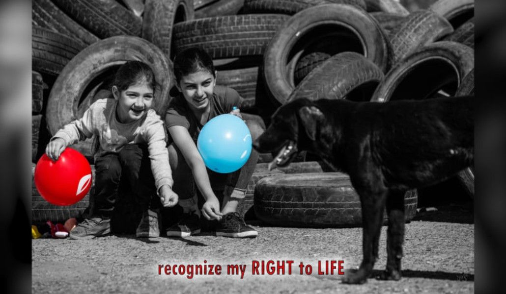 122404938_1537687253085400_5474775433208172033_n