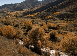 В Арцахе вечером 5-го, 6-го и 7-го ноября ожидаются дожди