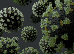 COVID 19:  28 deaths