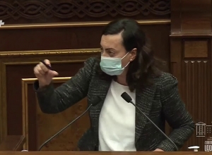 Давид Манукян из ППА участвовал в разгроме в правительстве: Лена Назарян