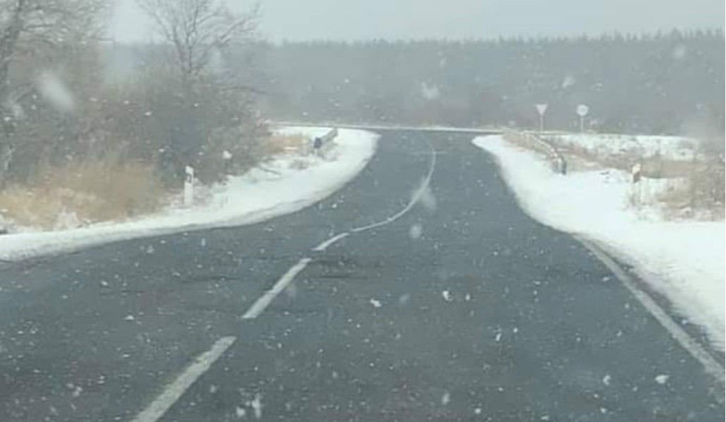 126187051_1620996094740123_735650561756378303_n