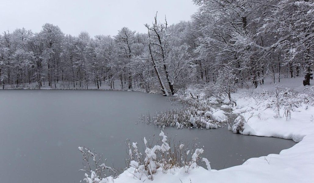 128598942_2633859576862722_2110205626420056244_o