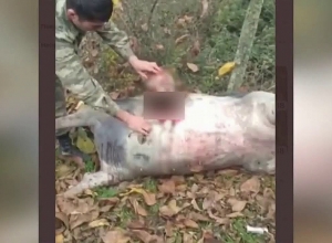 По следам преступлений развязанной Азербайджаном войны: Генеральная прокуратура РА