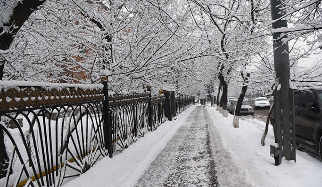 սառնամանիք