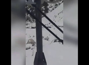 Безоаровые козлы в горах Сюника