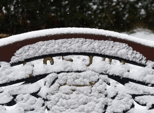 В ночь на 29-е января в отдельных районах ожидается слабый снег и туман