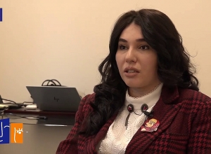 Виртуальный мост между Арменией и диаспорой: армянские компании ознакомятся с международным опытом