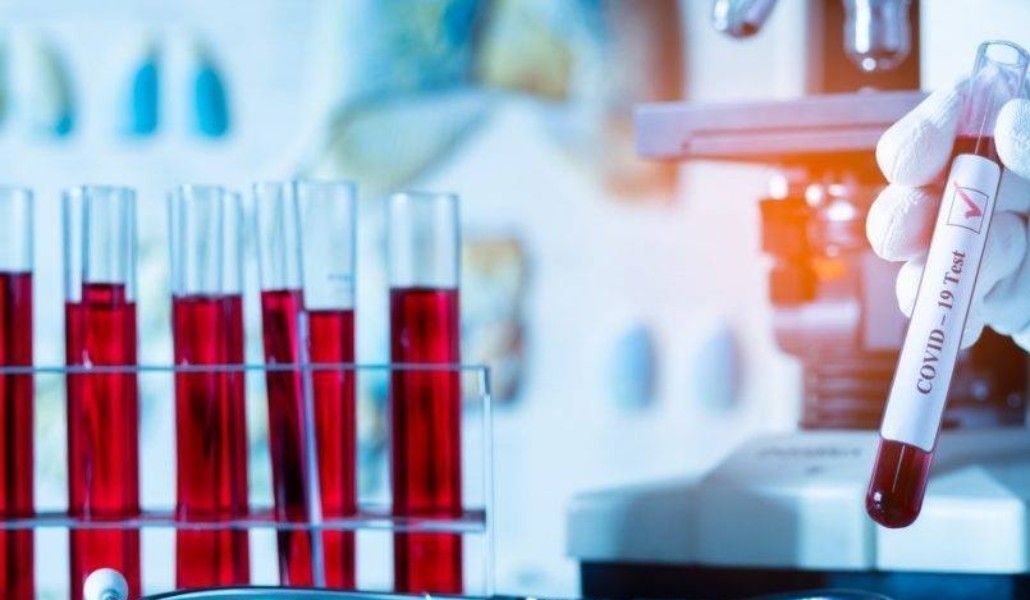 143729492_2801237813482775_2343165223778191705_o