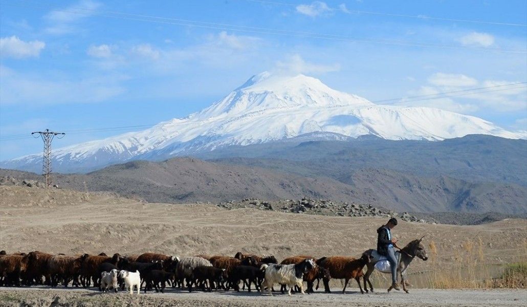 ararat