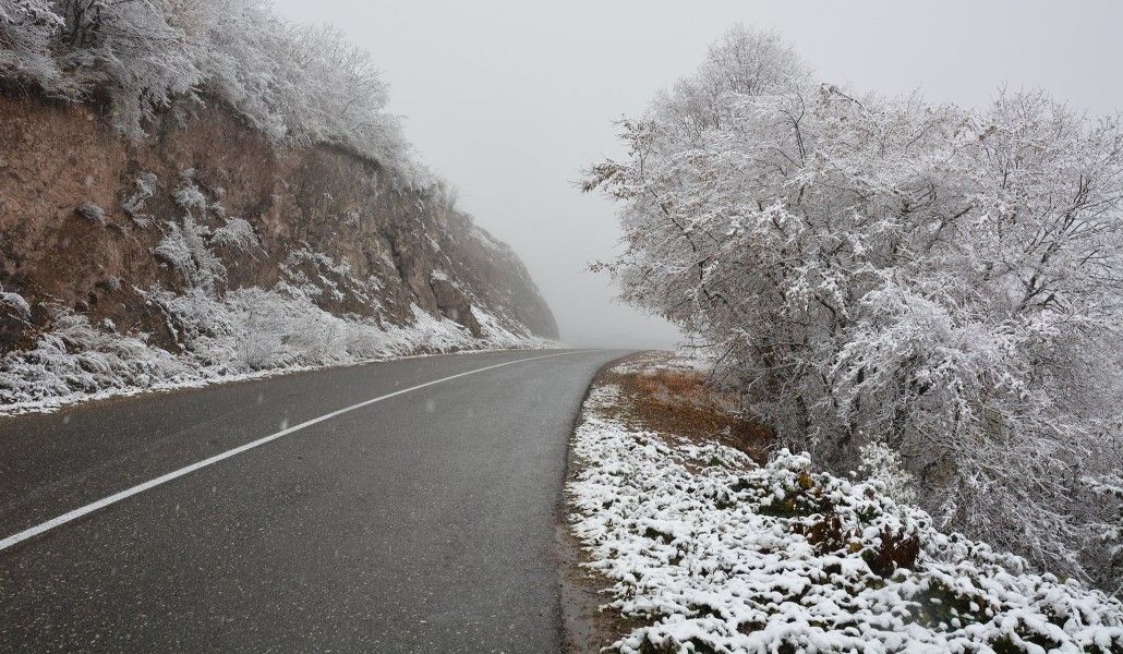 144563695_4077908368910274_585788256390236291_o