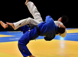 Ձյուդոյիստ Ֆերդինանդ Կարապետյանը տեխնիկապես պարտվեց օլիմպիական չեմպիոնին