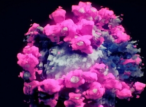 104 новых случая коронавируса