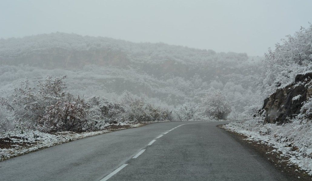 154592125_4145755918792185_626795813832999379_o