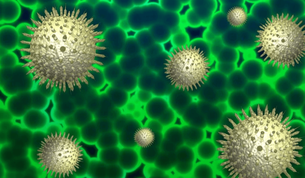 koronavirus-mutatsiya