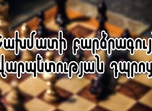 Проект создания Высшей школы шахматного мастерства удостоился положительного заключения