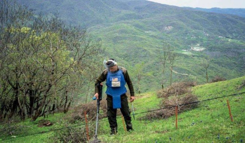 հալօ թրասթ