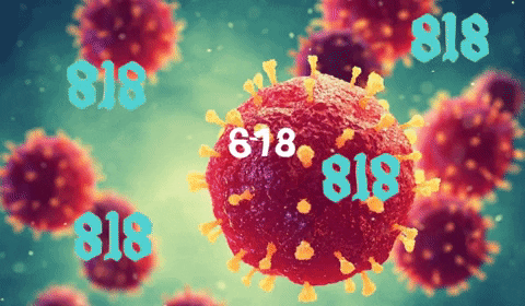 giphy (2)