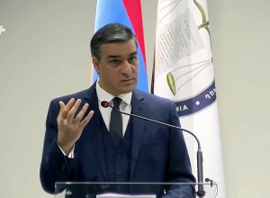 Այս նախագիծը ես համարում եմ խտրական․ Արման Թաթոյան