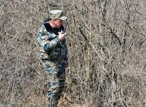 Поисковые работы возобновлены