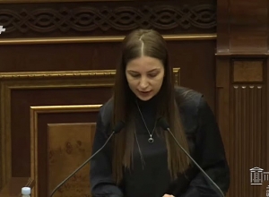 Верните земли Нрнадзора общине: независимый депутат обратилась к властям