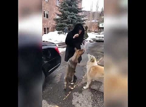 Когда их любишь, они никогда не бывают злыми: Видеоматериал Наиры Зограбян